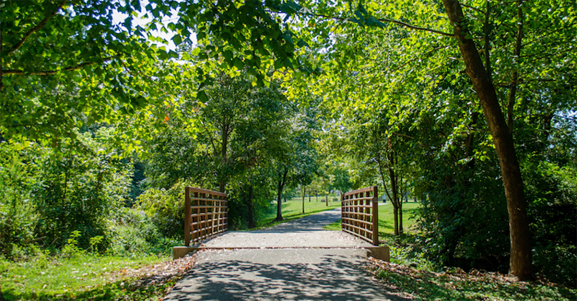 Featured image for “Third Creek Greenway”